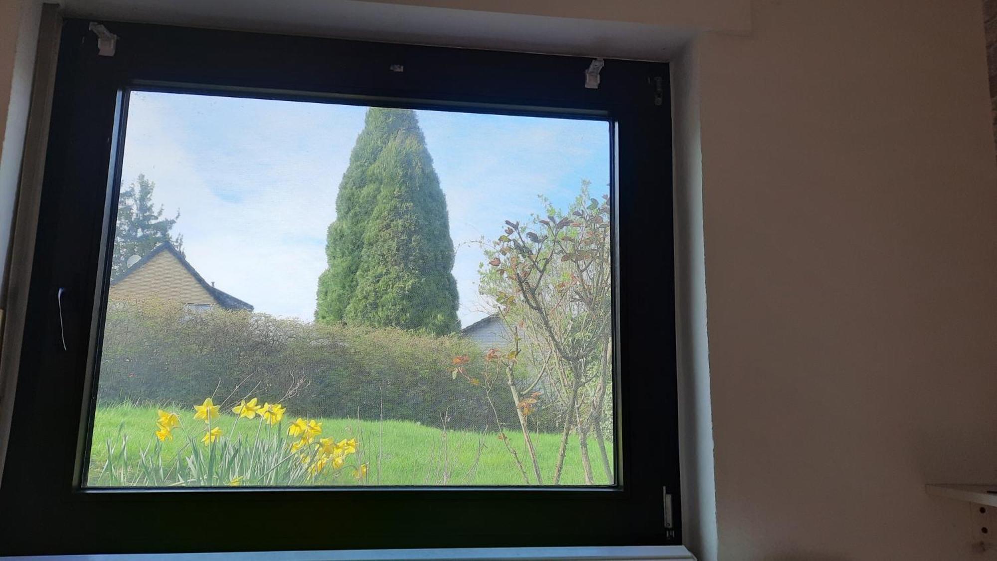 Kleine Ferienwohnung In Ruhiger Lage Herzogenrath Εξωτερικό φωτογραφία